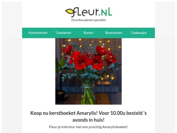Fleur Kerstboeket