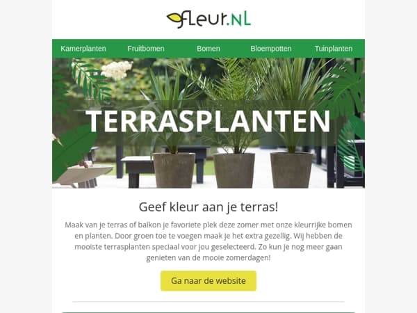 Shop nu de mooiste terrasplanten bij Fleur.nl! 🌴