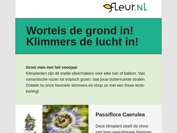 Groei mee met het voorjaar 🟢