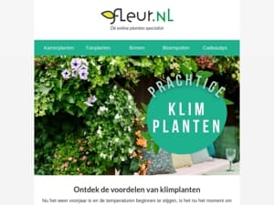 klimplanten 🌿 | Fleur je schutting, muur of hekwerk op!