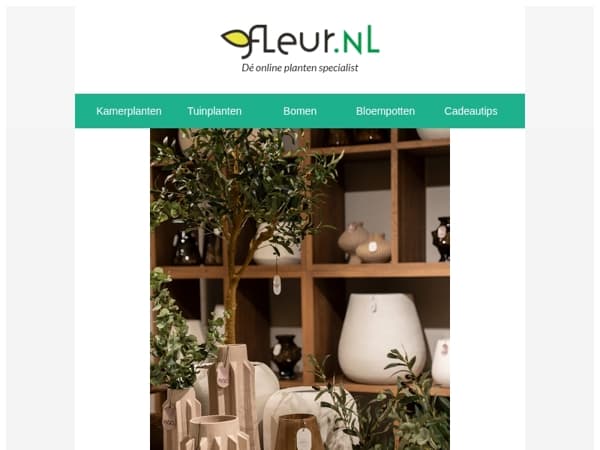 🪴 Jouw favoriete kamerplant direct in de exclusieve Isaa pot!