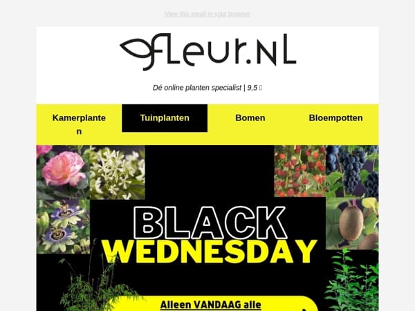 Black WEDNESDAY - 24 uur ALLE Tuinplanten KORTING⚡