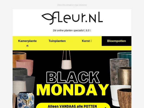 Black MONDAY - 24 uur KORTING op ALLE bloempotten🪴