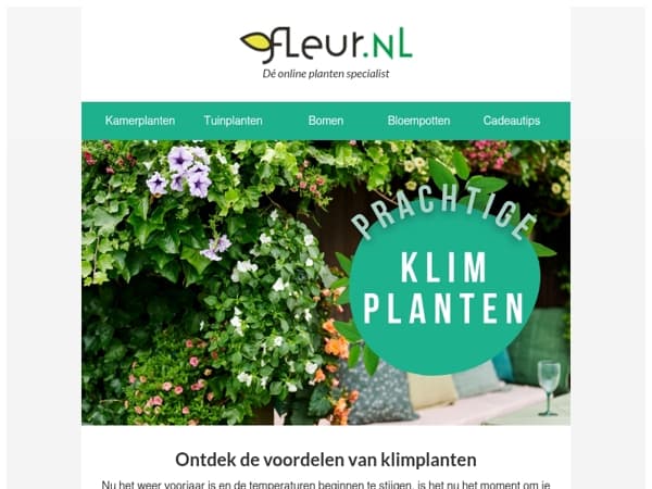 klimplanten 🌿 | Fleur je schutting, muur of hekwerk op!
