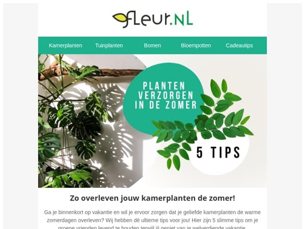 Zó blijven jou planten mooi deze zomer 👀