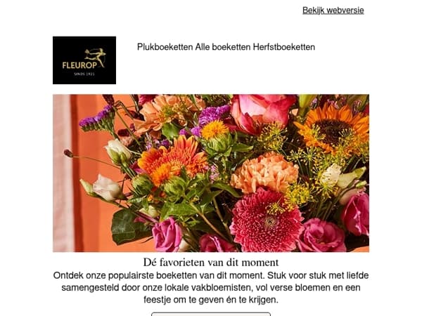 Ontdek onze bestsellers