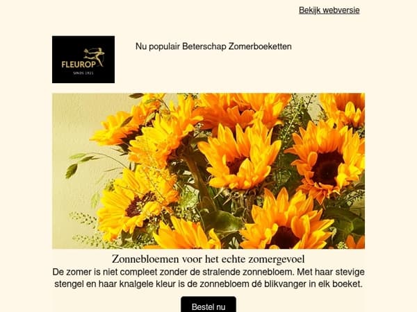 Zonnebloemen voor het echte zomergevoel🌻