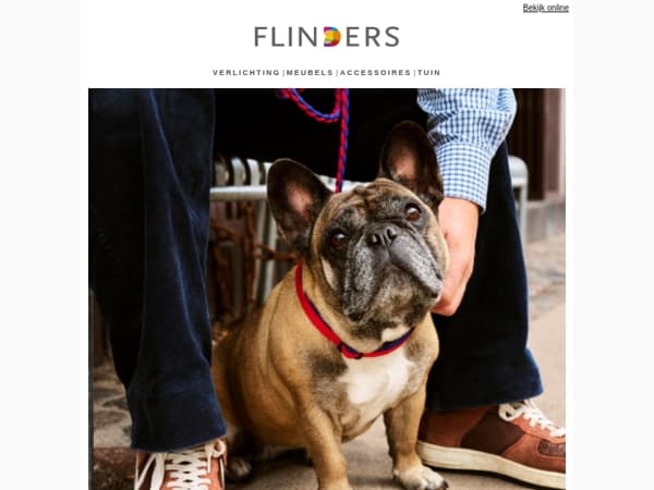 Je persoonlijke uitnodiging: HAY Walkies 🐶