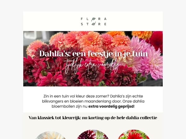 Dahlia-deal: shop met korting!
