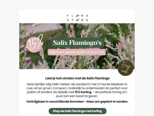 Salix & Hebes: 15% korting op kleur 🌸