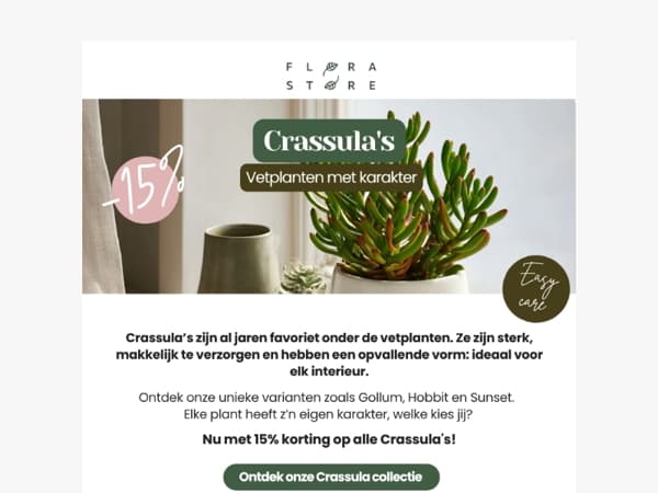 🪴 Tijdelijk: 15% korting op alle Crassula’s!