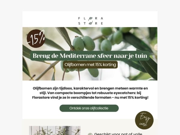 Olijfbomen met 15% korting 🌿