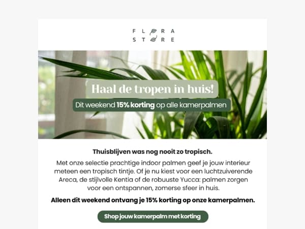 Breng de tropen naar je woonkamer 🌴