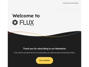 Welcome to FLUX ✨