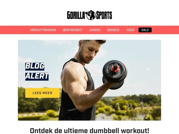 🔥 Dé ultieme lente workout – Pak je dumbbells en ga ervoor!