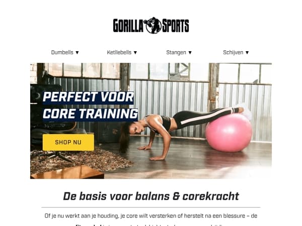 Meer balans, sterkere core – met de fitnessbal