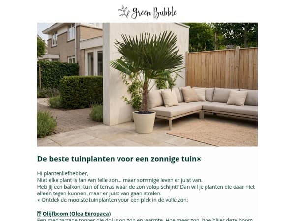 De beste tuinplanten voor een zonnige tuin☀️