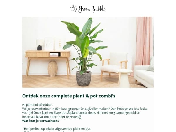 Shop vandaag jouw opgemaakte plant in pot🪴