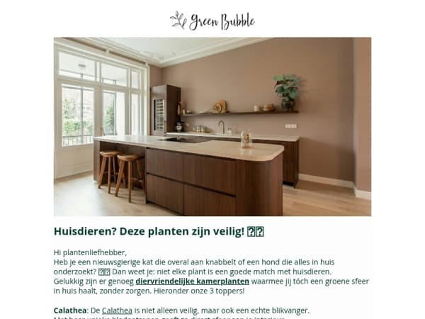 Huisdieren? Deze kamerplanten zijn veilig 🐾🪴