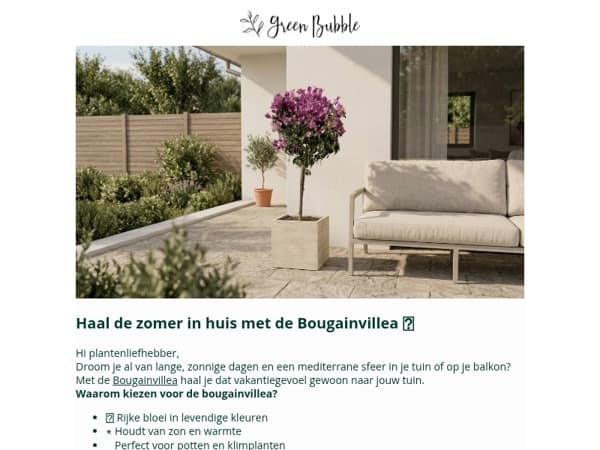 Haal de zomer in de tuin met de Bougainvillea 🌸