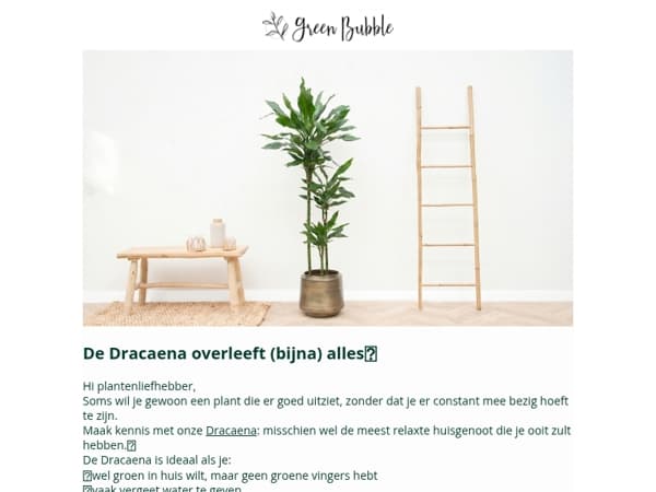 Waarom deze plant super makkelijk is🪴