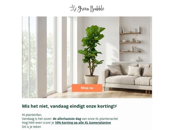 ⏰10% KORTING EINDIGT VANDAAG