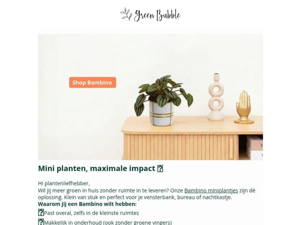 NIEUW: Ontdek onze Bambino miniplantjes😍🌱