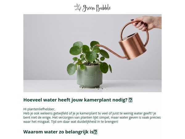 Hoeveel water heeft jouw plant nou eigenlijk nodig?💧
