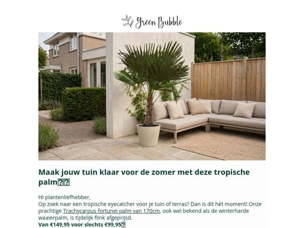 Deze tropische palm is nu in de korting!😍🌴