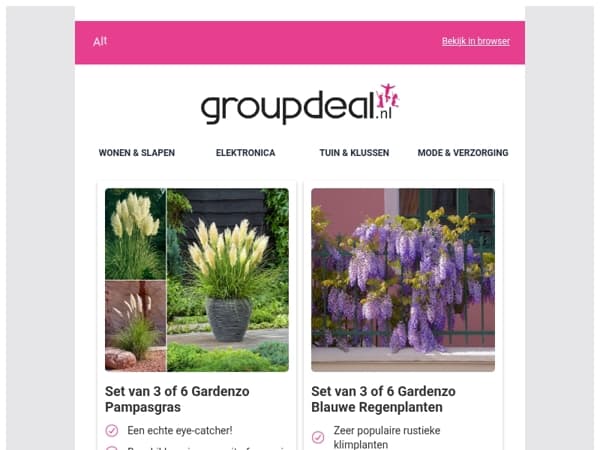 Maak van je tuin een zomers paradijs 🌿