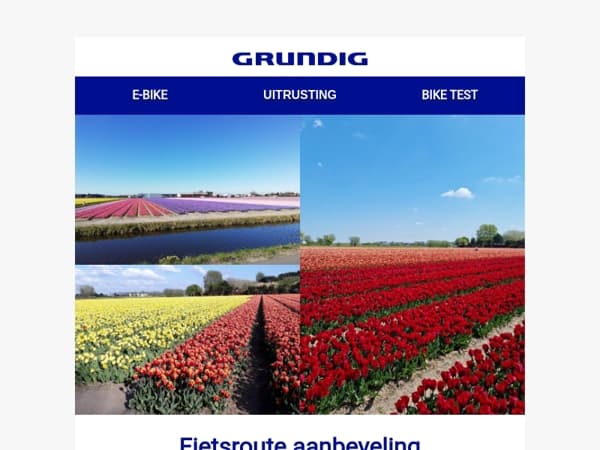 🌷Suggesties voor fietsroutes: Ontdek de dromerige tulpenroute vanuit Lisse