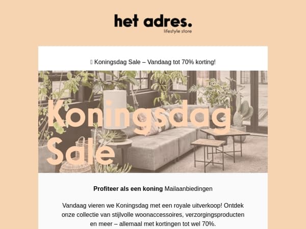 👑 Koningsdag KORTING: tot 70% op stijlvolle woonitems!
