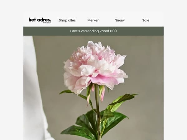 Voel jij het ook? 🌸 Een vleugje lente in huis