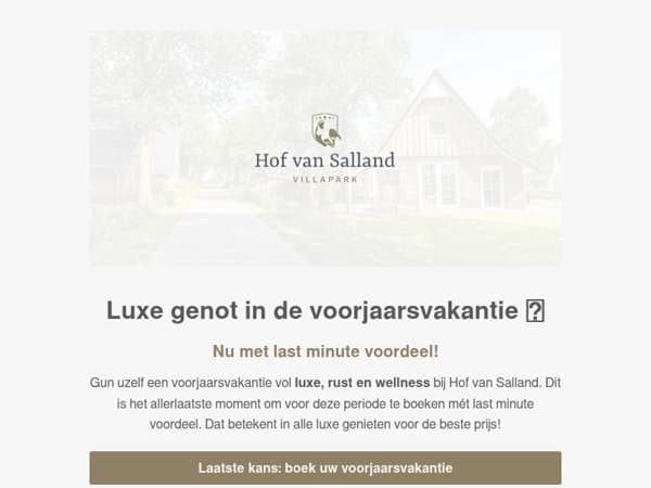 Luxe arrangementen en last minutes 🤎