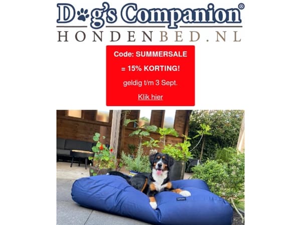 🚨 FINAL Summer Sale! 🐶