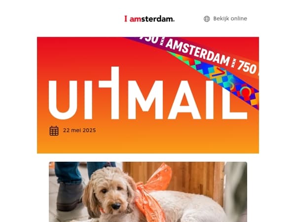 Interview met een Granny van Amsterdam 👵💅 | Hier kun je lunchen met je hond 🐶 ☕️ | Er op /uit