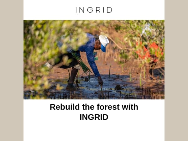 Rebuild the rain forest while smelling amazing
