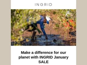 TODAY: Save 20% on INGRID original perfumes