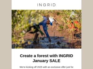 January sale is LIVE! Be a part of the forest