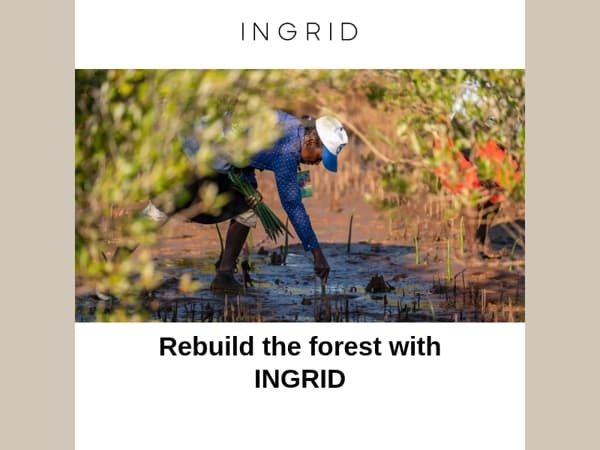 Get a new perfume and give the world a new tree