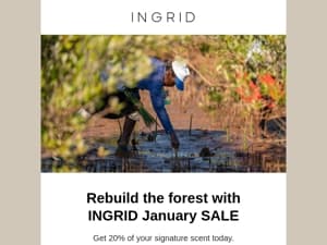 We plant one tree per order. Let us rebuild the rainforest