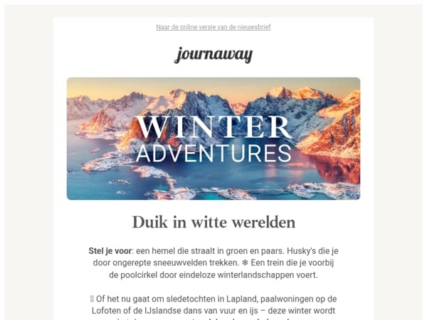 ❄️ Onze winteravonturen: op naar het noorderlicht, husky's en het IceHotel!