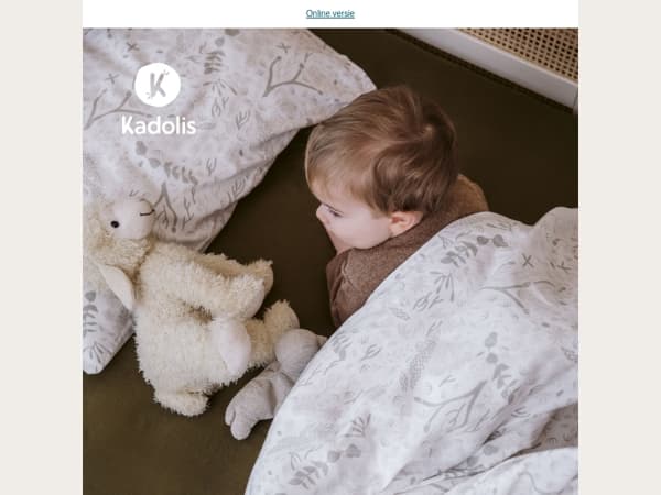 Vergemakkelijk de stap naar een groot bed met onze onmisbare producten