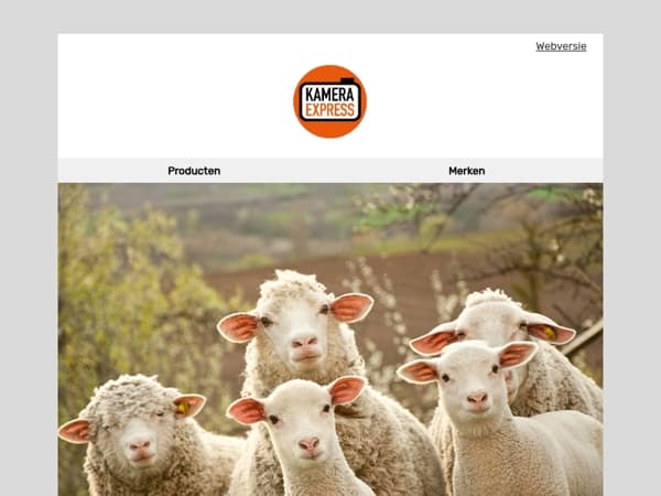 Leg jouw dierendagmoment vast met tips & musthaves