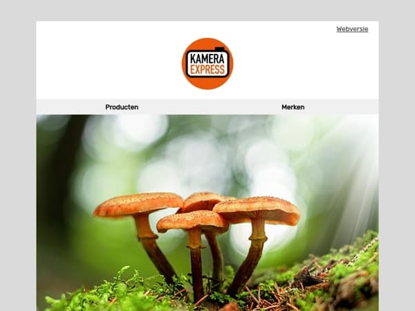 Leg de herfst vast, van macro tot timelapse