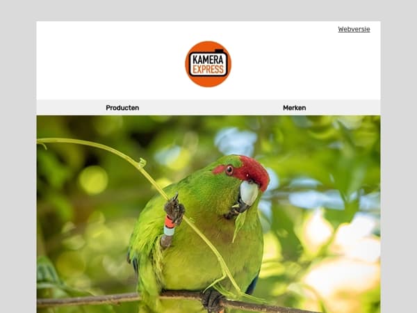 Ontdek camera’s, lenzen en verrekijkers voor vogelfotografie