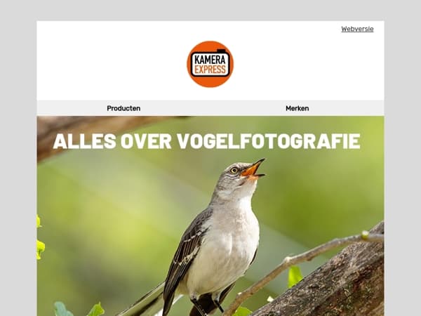 Dit weekend vogels spotten én profiteren van winterdeals