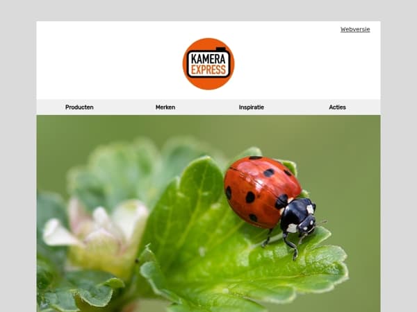 10 tips voor macrofotografie in de lente