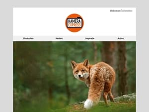 10 tips om vossen te fotograferen