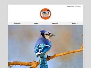 Ontdek de beste apparatuur voor vogelfotografie